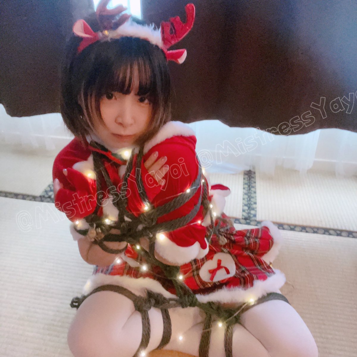 MistressYayoi's tweet photo. @SunLo_OwO : 黑色醬油被綁成聖誕醬油了
🪢：me
Model：@jiangyou484 https://t.co/qPGxY6wDwS