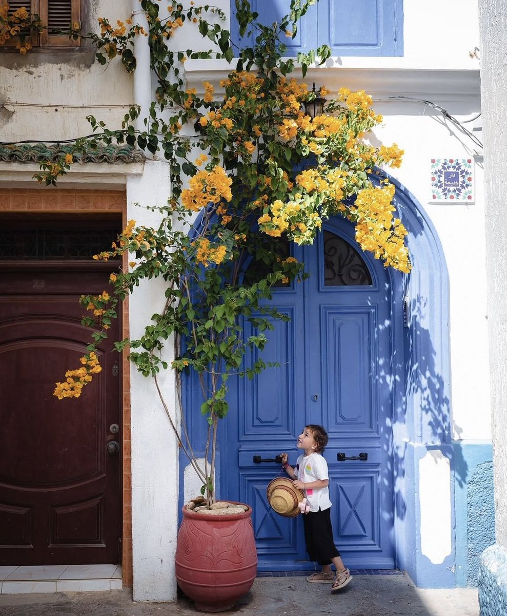 Missing Morocco ? 🇲🇦