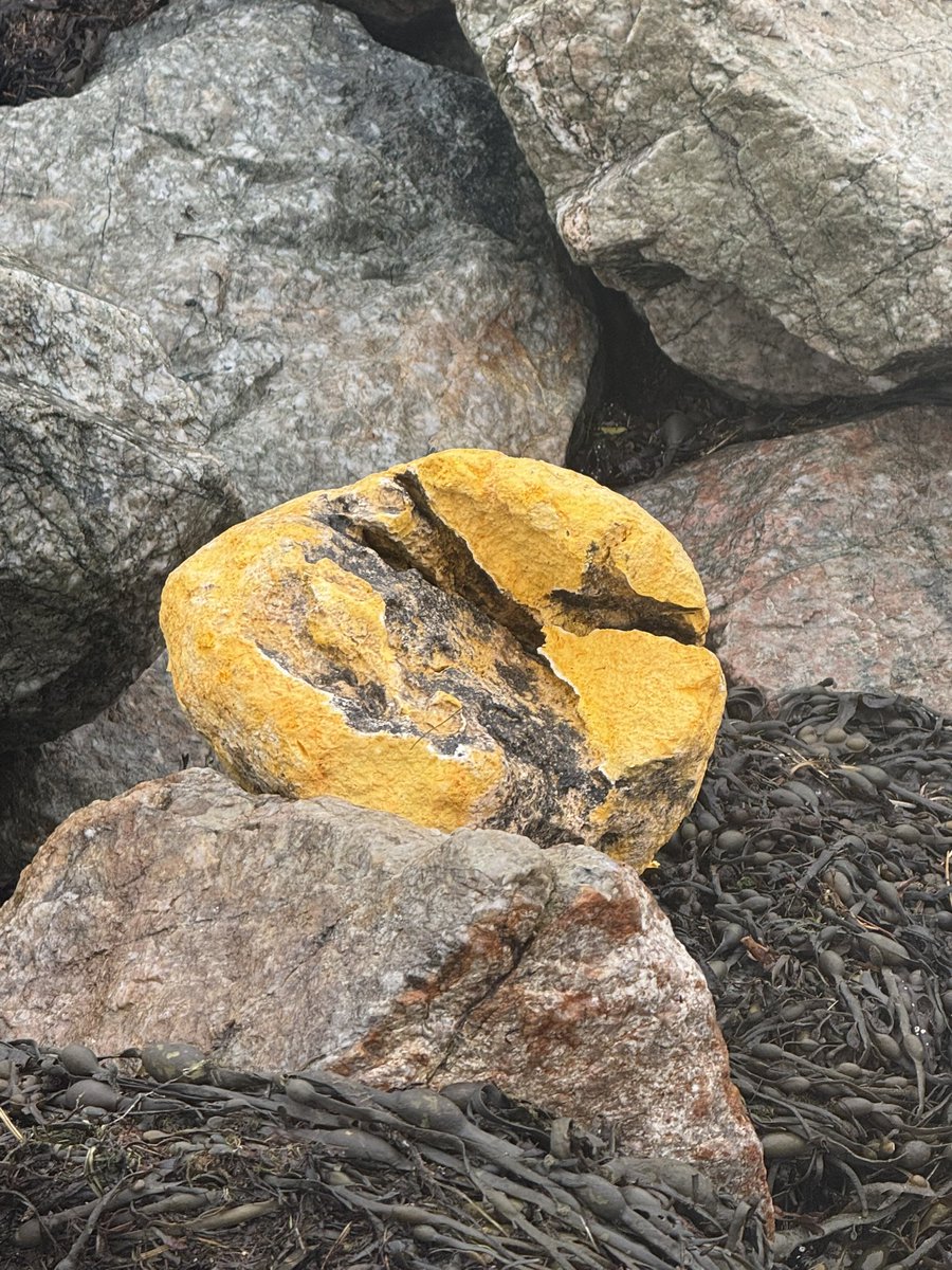 Chicken_7's tweet image. Lump of Palm Oil washed up on beach of Inland Sea at the back of Valley, dog walkers beware! @angleseycouncil #anglesey @AngleseyScMedia @holyheadcg .