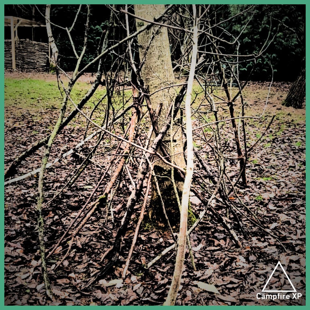 campfire_xp's tweet image. Ahead our January launch we've gathered fallen branches recent storms have shaken from the trees, to use for firewood. There's magic in a bare winter woodland, with foundations of the environment unveiled. Wishing you #happyholidays - see you in the New Year! @campfire_xp ✨️