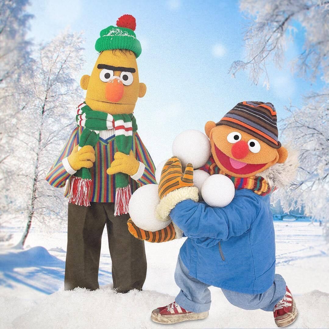 bert & ernie pics tweet media