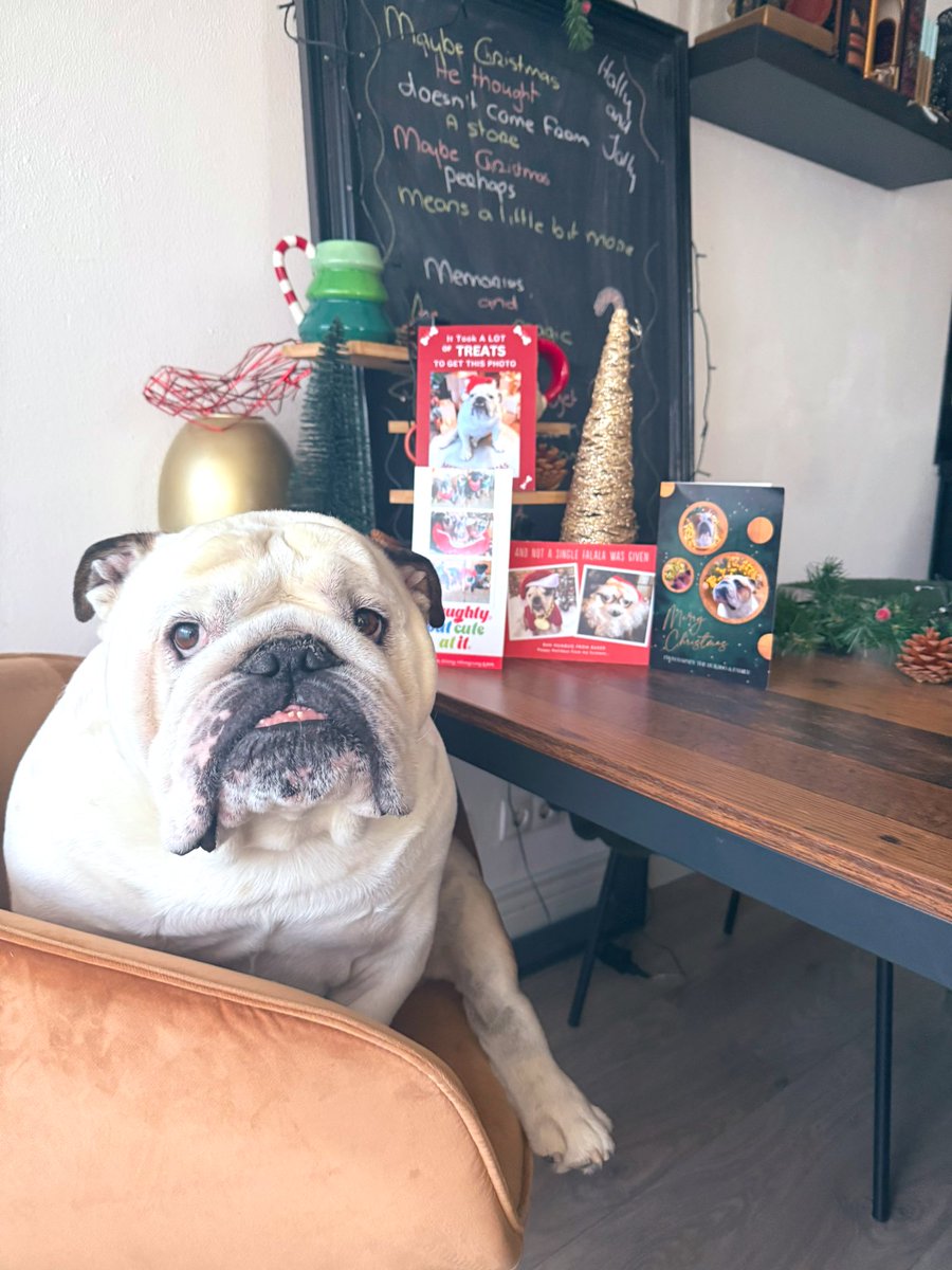 King Loki💚 (@kinglok43786090) on Twitter photo Thank you so much for the beautiful Christmas cards my friends, much love💚 <a href="/mommasboymushu/">Angel Mushu😇🌈, Zinny🖤, Winny💓</a> <a href="/karascraftshack/">Bourbon and Angel Nugget</a> <a href="/barney_bulldog/">Barney the Bulldog</a> <a href="/Lil_Fen/">Baker</a> Thank you so much for the beautiful Christmas cards my friends, much love💚 <a href="/mommasboymushu/">Angel Mushu😇🌈, Zinny🖤, Winny💓</a> <a href="/karascraftshack/">Bourbon and Angel Nugget</a> <a href="/barney_bulldog/">Barney the Bulldog</a> <a href="/Lil_Fen/">Baker</a>