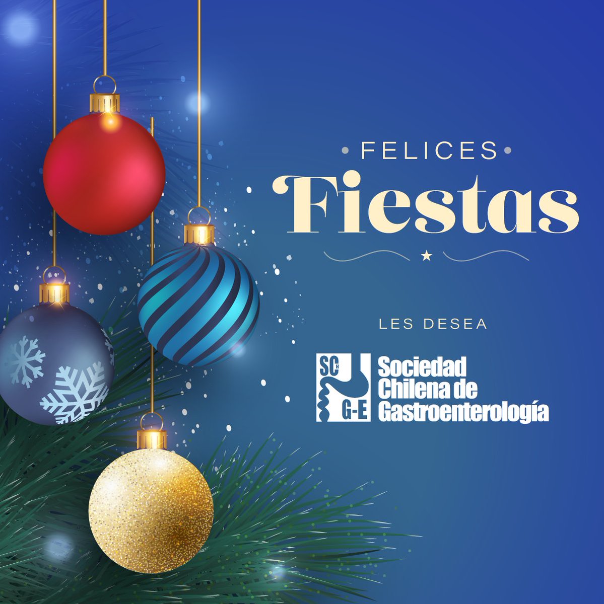 ¡Feliz Navidad y un próspero año nuevo les desea la Sociedad Chilena de Gastroenterología! 

 ¡Felices fiestas y un próspero año nuevo!

#FelicesFiestas #Navidad2024 #Gastroenterología #ComunidadGastro #Agradecimiento #Feliz2025