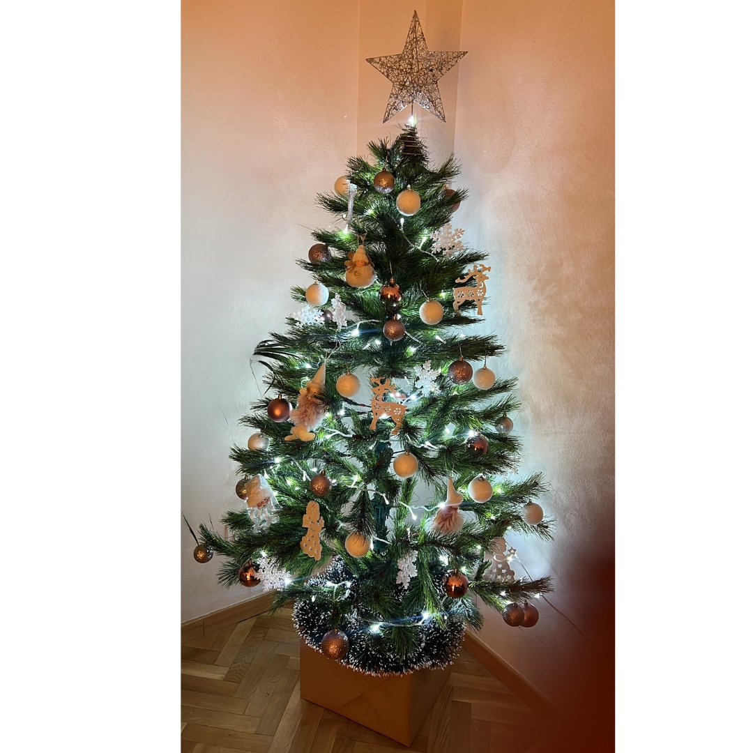 proelinmuebles's tweet photo. Ya no queda nada para una de las noches más especiales del año ✨

Desde Proel queremos desearos una Feliz Navidad ¡con nuestros árboles de navidad!

Que esta fiestas esté llenas de momentos inolvidables, rodeados de vuestros seres más queridos 💖

#navidad #navidad2024 https://t.co/NM6NqQYeYF