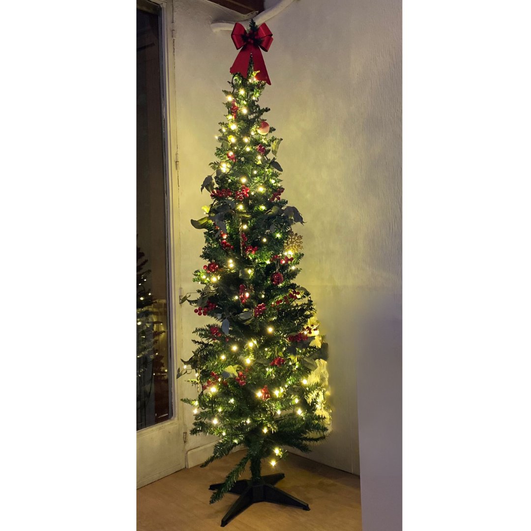 Ya no queda nada para una de las noches más especiales del año ✨

Desde Proel queremos desearos una Feliz Navidad ¡con nuestros árboles de navidad!

Que esta fiestas esté llenas de momentos inolvidables, rodeados de vuestros seres más queridos 💖

#navidad #navidad2024