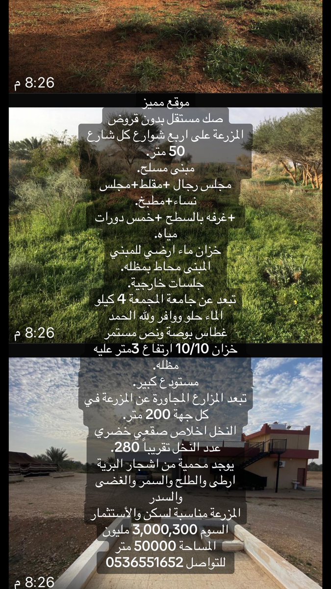 🫂R tweet media