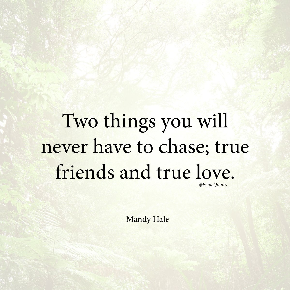 Motivational Quotes tweet media