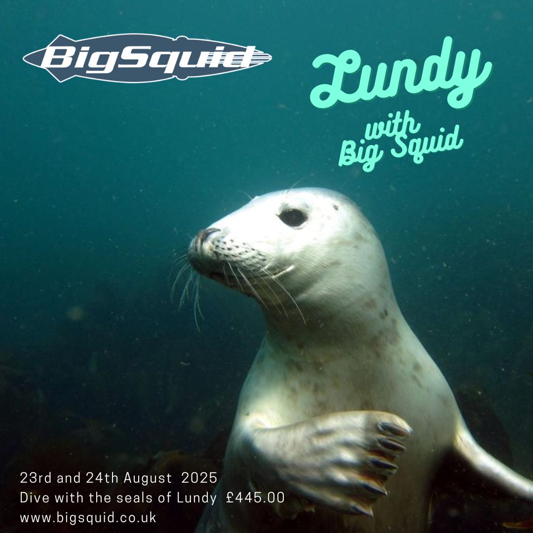 Join Big Squid on our trip to Lundy in August 2025