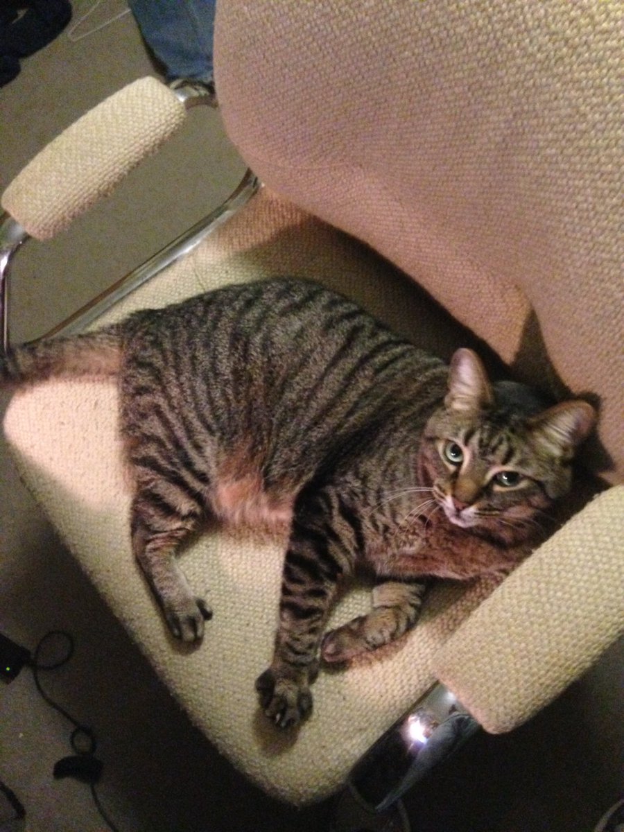 Recruit Georgia tweet media