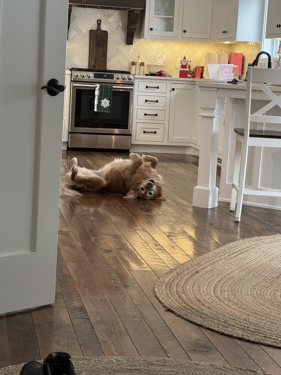 35rob35's tweet image. Just caught Kiki in the most relaxed state ever! 🐶 Nothing like a good stretch on the kitchen floor after a long  morning!