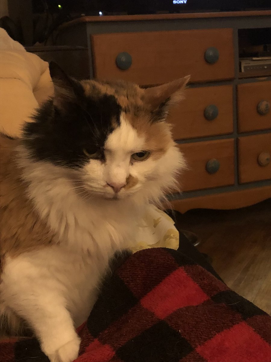 Alan McGill tweet media