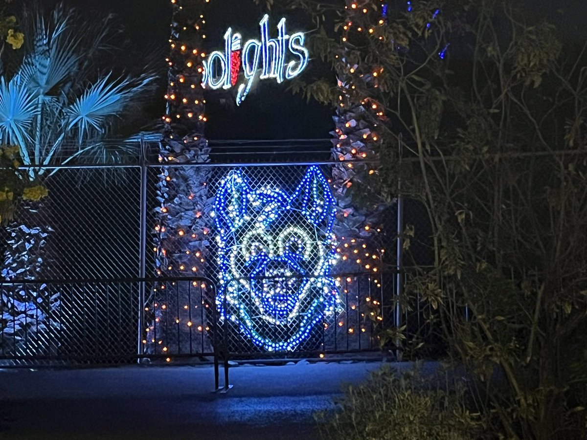 Shep🖌🐾 🔜 Furcationland 2026 tweet media