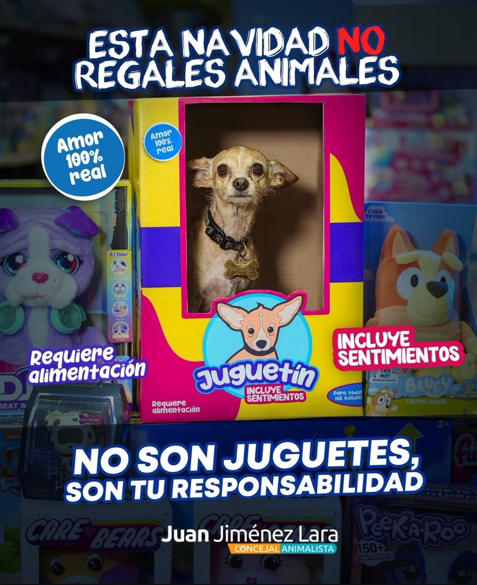 Panda Jaramillo tweet media