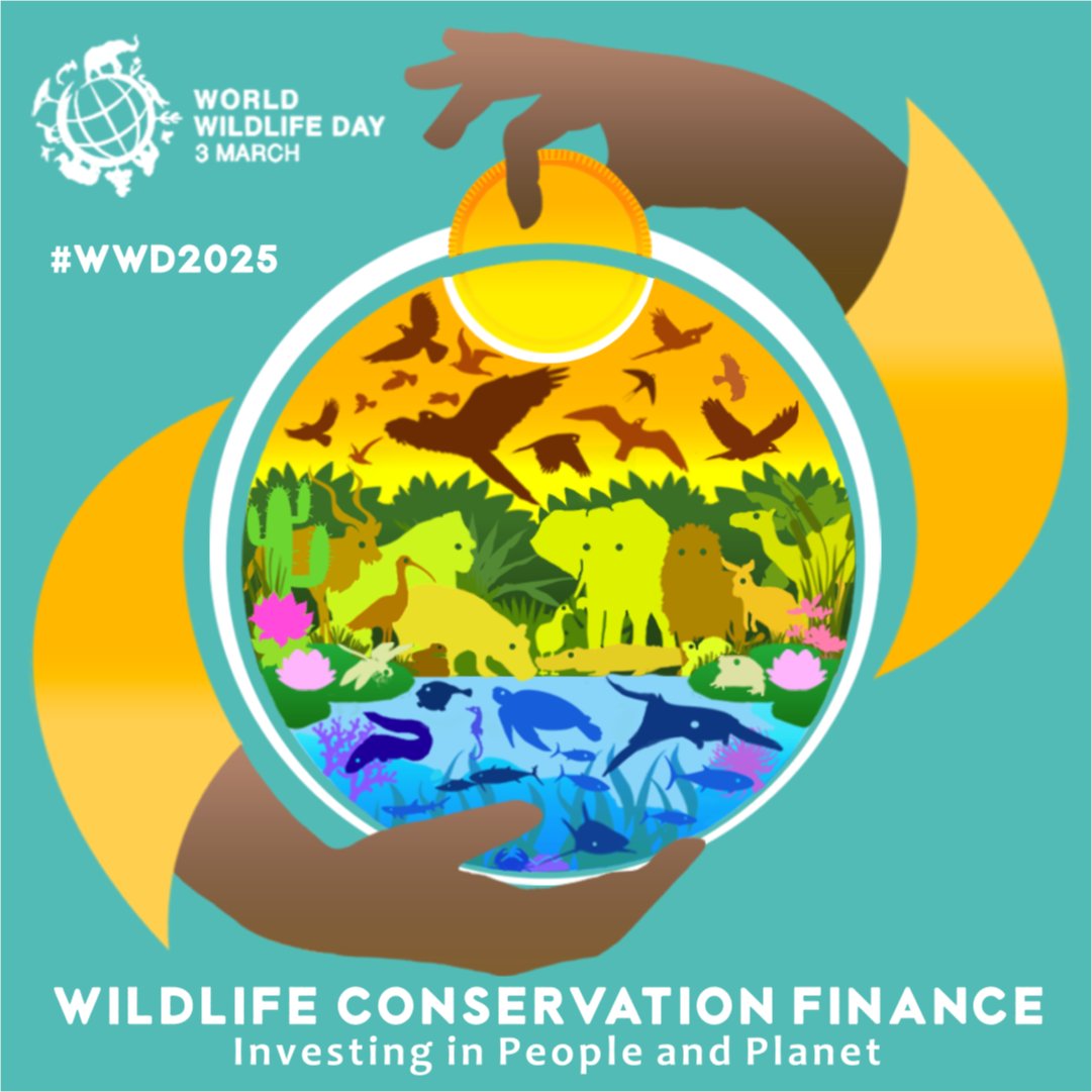 World Wildlife Day tweet media