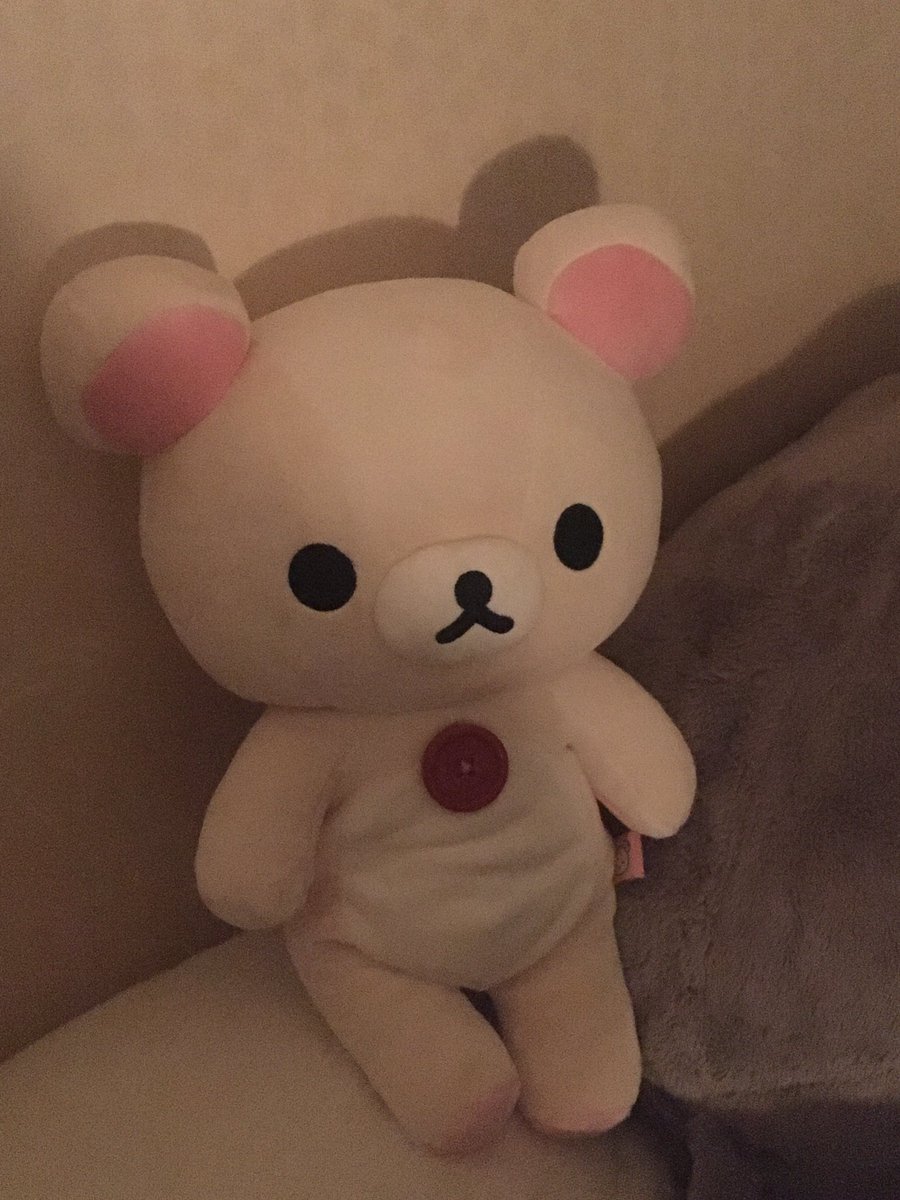 sumx04's tweet image. 일본 여행 다녀온 친구가 사다 준 코리락쿠마 인형 ˚₊·—̳͟͞͞♡