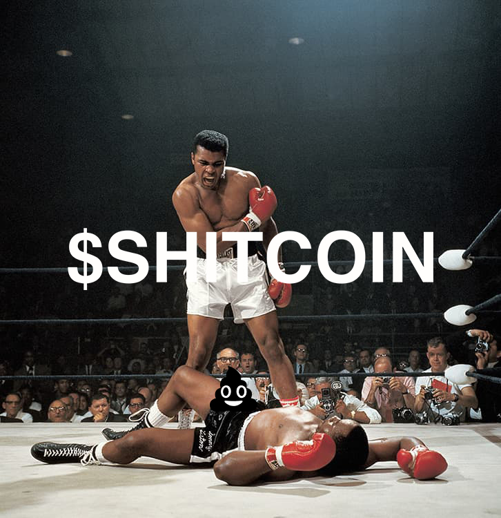 SHITCOIN tweet media