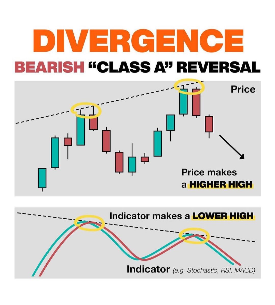 Mybookmojo tweet media