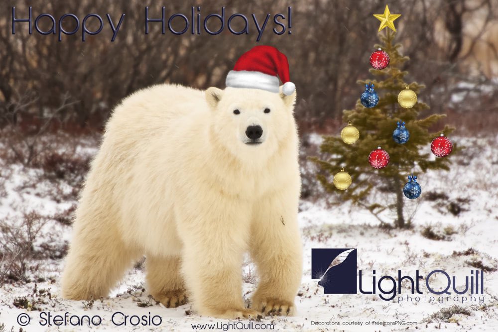 light_quill's tweet photo. Happy Holidays to everyone!
Check out our latest update on https://t.co/tMj5RrbwTd: we have released three new abstract images (they can be seen on our Newly Added Images page) and added a new option for images in our Open Edition collection: Aluminum Dibond Fine Art Prints! https://t.co/75r34urOWe