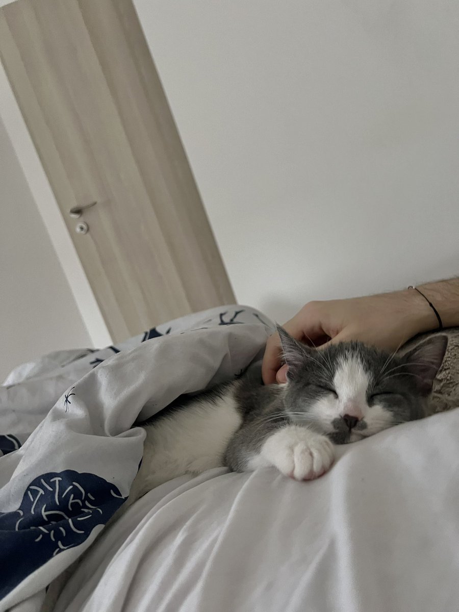 michal_springer's tweet image. Krásné Vánoce 💫🎄🤧🤒