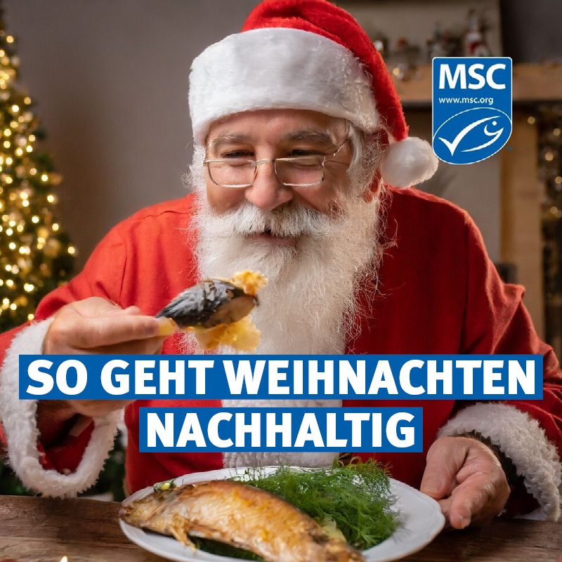 MSC_Fisch's tweet photo. 🎄🌍♻️ Grüne Weihnachten ohne Stress? Wir haben Tipps, wie Ihr Euer Fest ganz einfach umweltbewusster und nachhaltiger gestaltet.

Zum Weihnachtsfest werden oft weder Kosten noch Mühe gescheut, um das Fest besonders zu machen. Jedoch belastet die #Ökobilanz der Festtage die Umwelt erheblich. Weihnachtsbäume, Plastikdekoration, Beleuchtung, Geschenkeversand und Essensreste haben gravierende Auswirkungen. Auch umweltbewusste Menschen machen in dieser Zeit oft Ausnahmen. 

Dabei kann #Weihnachten mit einfachen Maßnahmen nachhaltiger gestaltet werden:
🎁 Geschenke: Durchdacht, nachhaltig & konkret statt Sinnloses - oder Wichteln!
🍴 Festessen: Regionale, nachhaltige Zutaten wie Fisch aus nachhaltiger #Fischerei oder Gans vom Bauern.
Menü gut planen, Reste vermeiden oder neu verwerten.
🎄 Weihnachtsbaum: Alternativen zu Wegwerfbäumen sind DIY-Bäume, echte Tannen mit Ökosiegel oder Bäume aus langlebigem, recyceltem & recycelbarem Plastik.
🎀 Dekoration & Geschenkpapier: Alte Deko aufpeppen, neu mit alt mischen, Recycling-Papier oder DIY-Ideen.

🐟 Bei dir oder der Familie gibt es Fisch an Weihnachten? Dann bitte unbedingt auf dessen nachhaltige Herkunft achten. Bspw. unterstützt Wildfisch mit MSC-Siegel verantwortungsvolle Fischereipraktiken und wirkt so #Überfischung entgegen. 

🍣🍤 Die Favoriten an Weihnachten sind auch in diesem Jahr Lachs und Krustentiere wie Garnelen, Krabben oder Scampi. Sie kommen überwiegend aus #Aquakultur - daher gilt hier auf das ASC- oder Bio-Umweltsiegel zu achten ☝️  

Hilf uns, dieses Weihnachten nicht nur fröhlich, sondern auch achtsam zu gestalten 🙏 

#NachhaltigeWeihnachten #NachhaltigeFischerei