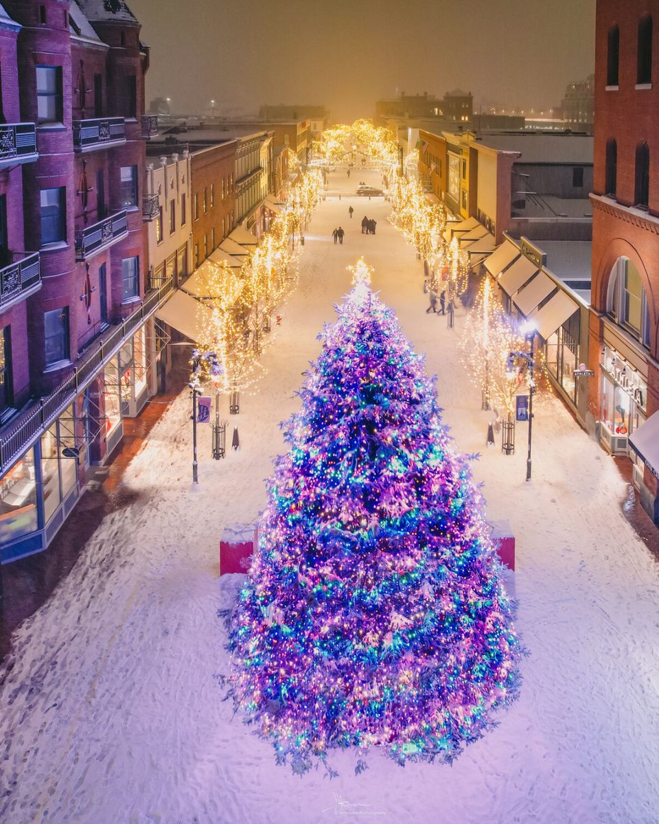 Across Vermont, communities celebrate Christmas with tree lighting ceremonies, parades, and even sleigh rides—offering neighbors and friends a festive way to connect in the holiday season.  🎄☃️ ❄️