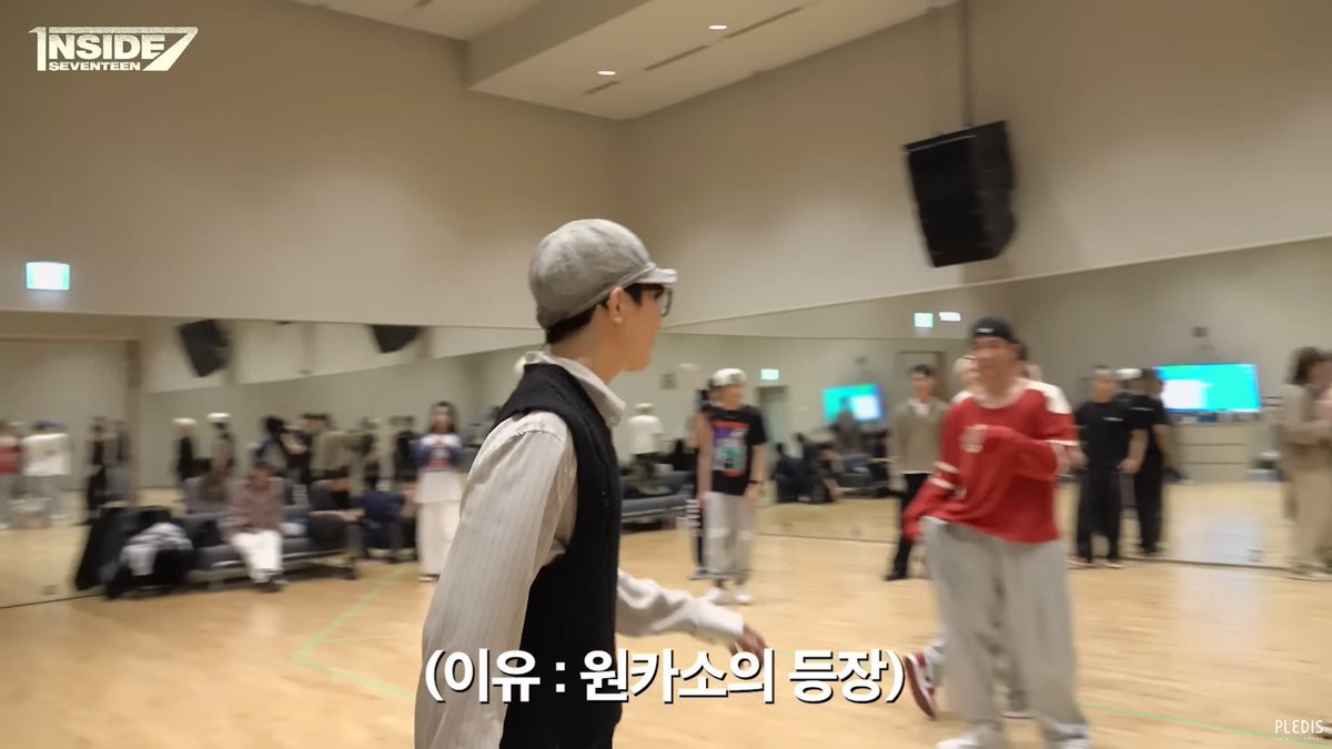 으앙 애기고양이가 컷어…🥺💕