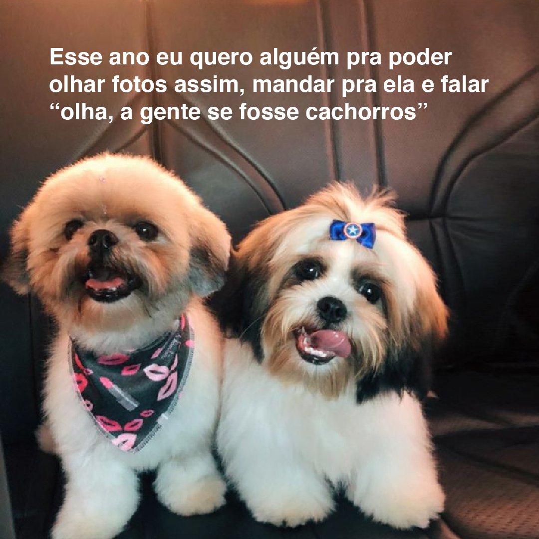 Umatch Brasil (@umatch_br) on Twitter photo 