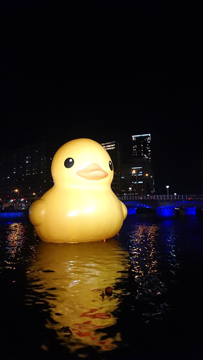 久しぶりのラバーダック🦆