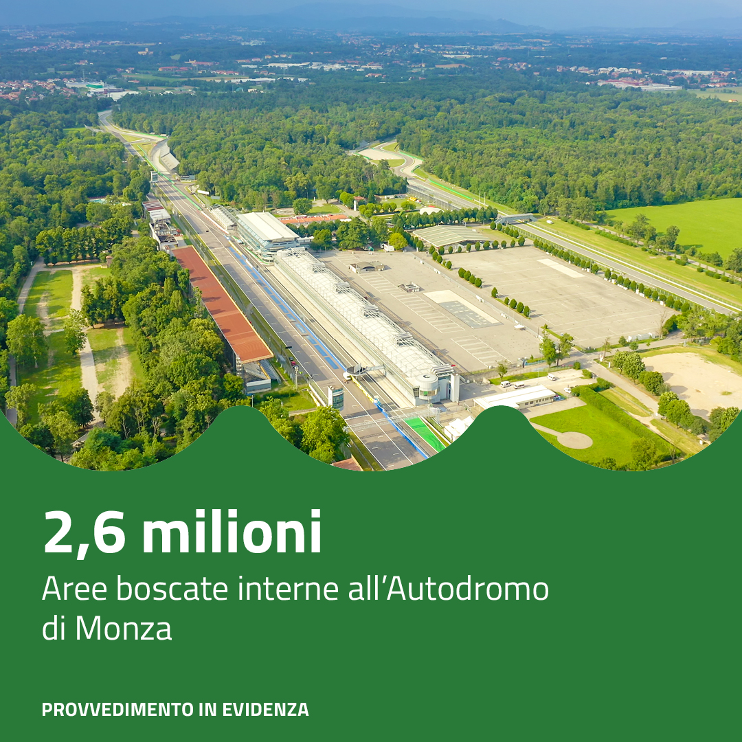 RegLombardia's tweet photo. Approvati 2,6 milioni di euro per il rimboschimento delle aree del #ParcodiMonza, che hanno subito forti danni a causa degli eventi calamitosi del luglio 2023.
Scopri di più 👉https://t.co/VVXIUoIznn https://t.co/nJbf5Wl52d