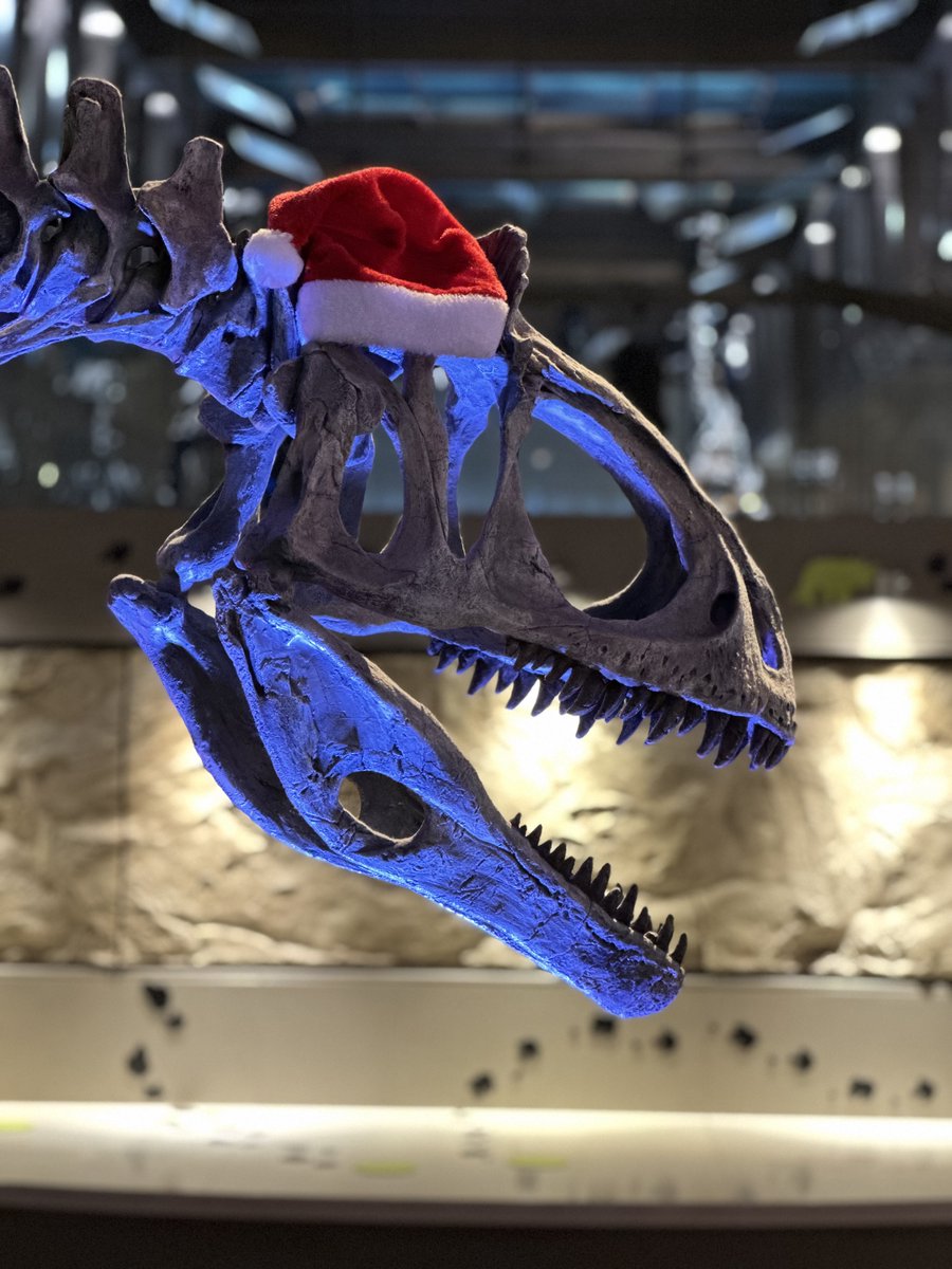✨🎄 We’re all set for the holidays! 🎁🎇
Are you joining us?
#naturalsciencesbelgium