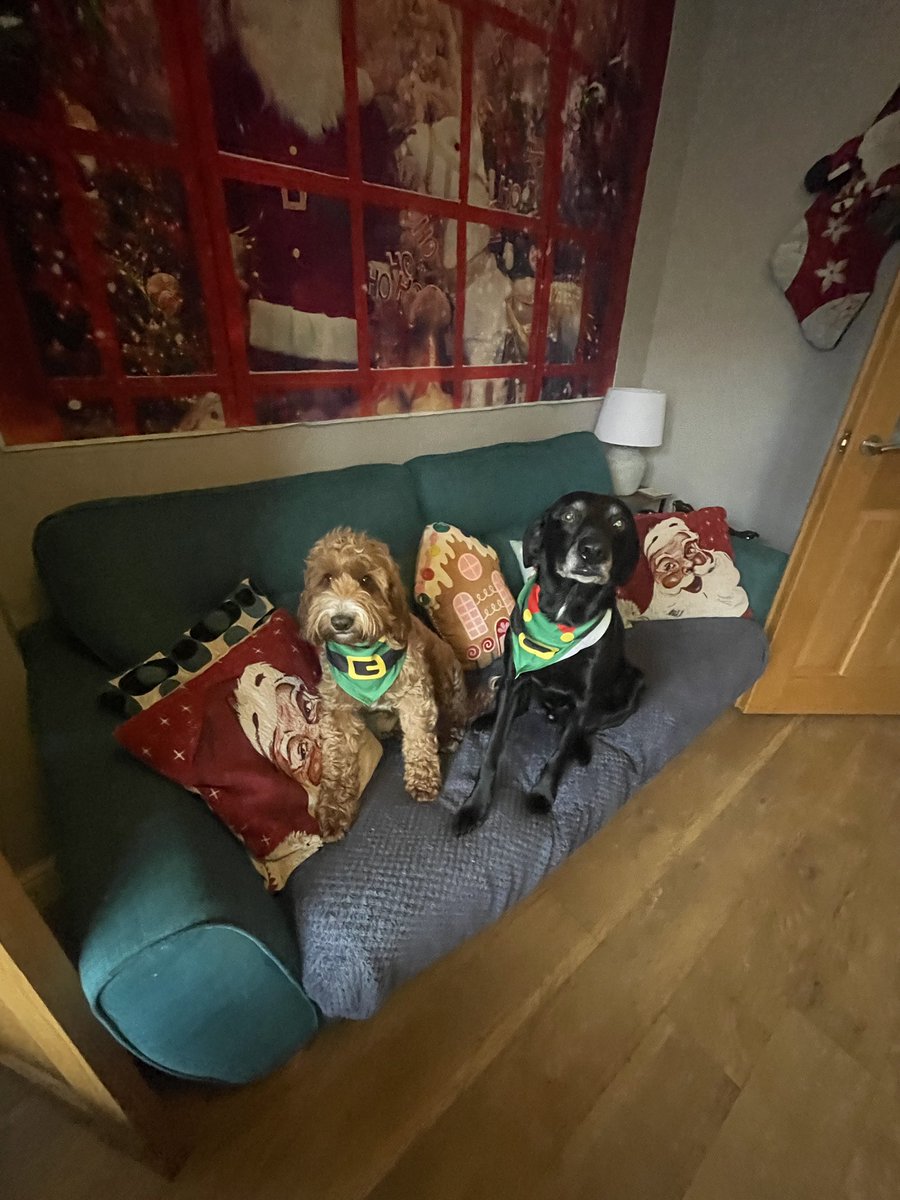 bigfacedmr tweet media