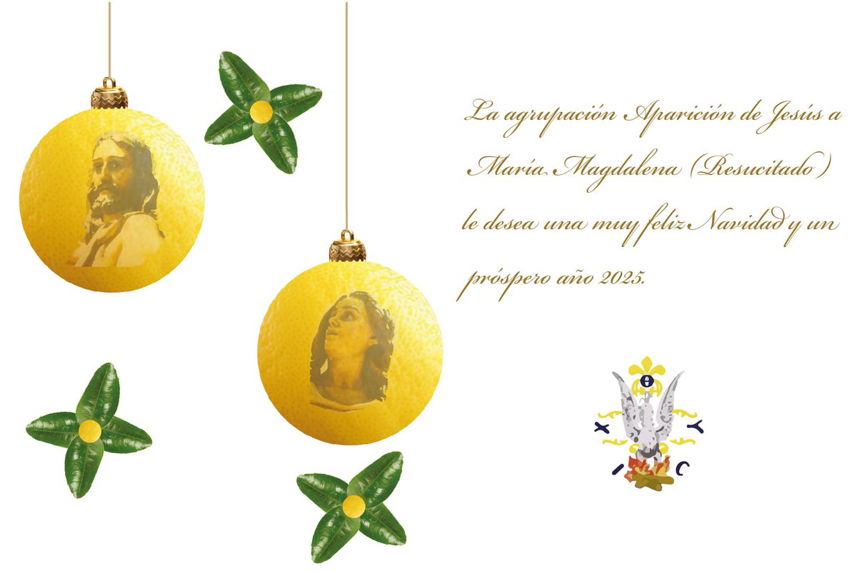 aparmagdalena's tweet photo. El presidente y la junta directiva de la Aparición de Jesús a María Magdalena les desea una Feliz Navidad 🎄 y un próspero año 2025.

#aparición #resucitado #cartagena #semanasantacartagena #feliznavidad #felizañonuevo #feliz2025 https://t.co/Y0oe1HXgqj
