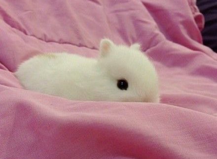 Bunnies's tweet photo. https://t.co/sdJLldcVBS