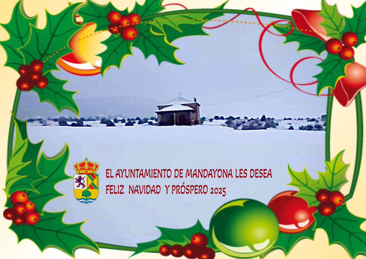 FELIZ NAVIDAD 🎄 y próspero año nuevo 2025