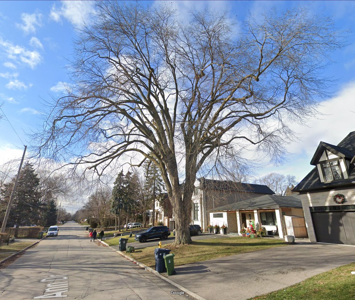 Chris Nolan.ca tweet media