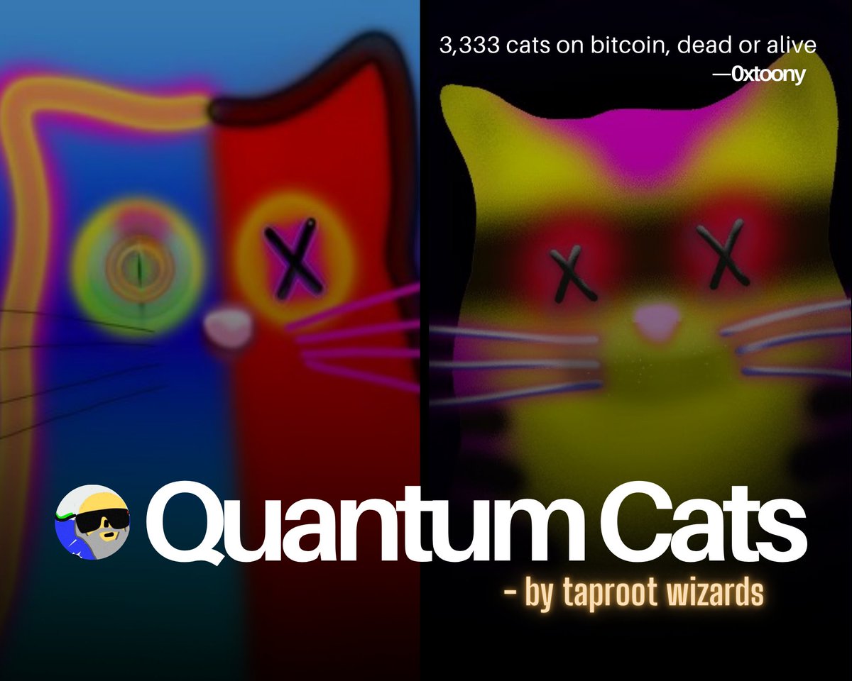 🔸 Quantum Cats — by Toony

Wondering why the cats are taking over the timeline again?

Here’s a brief intro to <a href="/QuantumCatsXYZ/">Quantum Cats | BIP-420🐱</a> 👇

🧵 [1/7]