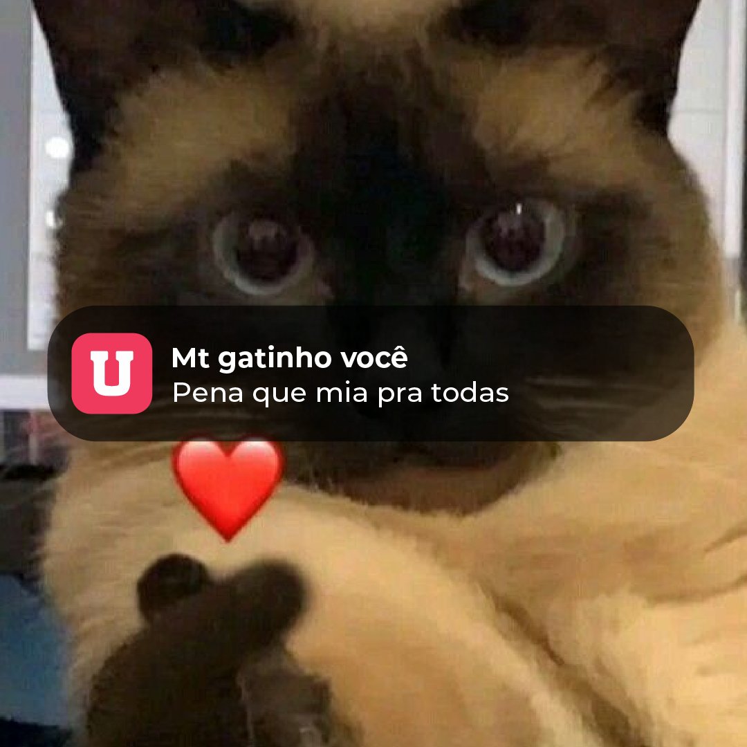 Umatch Brasil (@umatch_br) on Twitter photo 