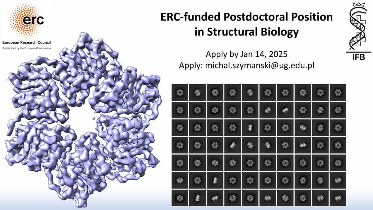 Join our team!

ERC-funded Postdoctoral Research Fellow position in my lab <a href="/MRSzymanskiLab/">Michal R. Szymanski</a> at the Intercollegiate Faculty of Biotechnology <a href="/Uniwersytet_GD/">Uniwersytet Gdański</a> &amp; <a href="/GUMedGdansk/">Gdański Uniwersytet Medyczny (GUMed)</a> to study human mitochondrial DNA repair.

🔗 Offer details: biotech.ug.edu.pl/news/112857/of…