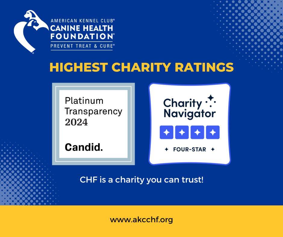 Supporting the AKC Canine Health Foundation means directly fueling research that improves the lives of dogs everywhere. Your contribution matters. Join us in making a difference for all dogs. Give now at bit.ly/3RFMGRX. 
#CanineHealthResearch #donorsrock