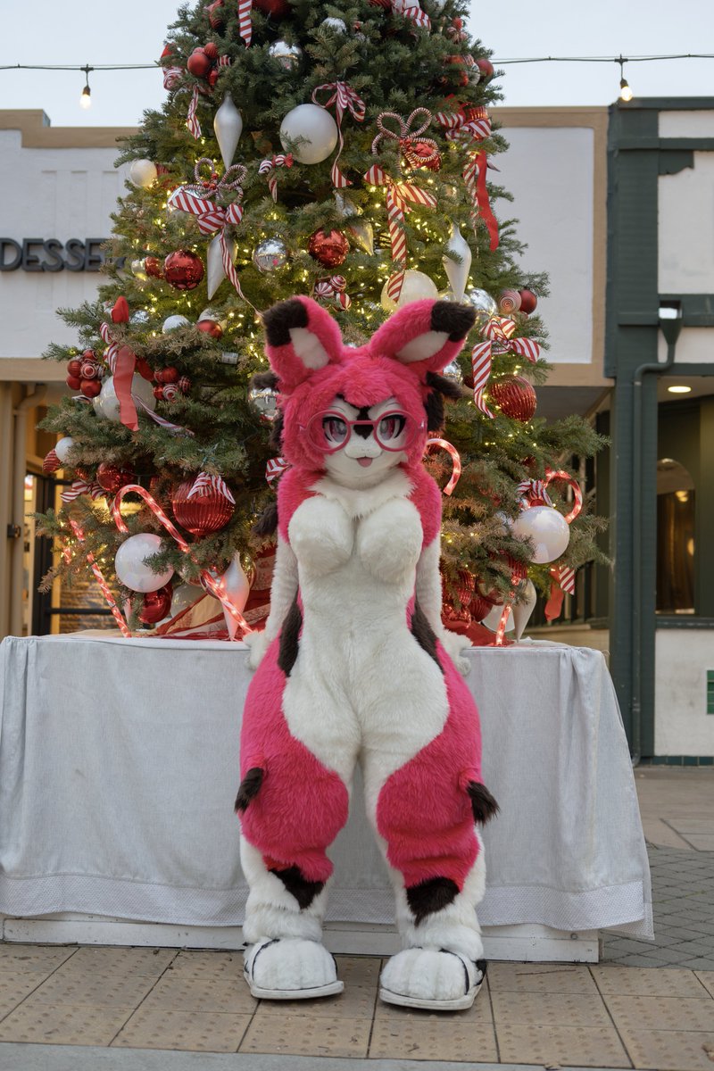 merry christmas!!! hope y'all are having a very Jolly season 🎄🐇