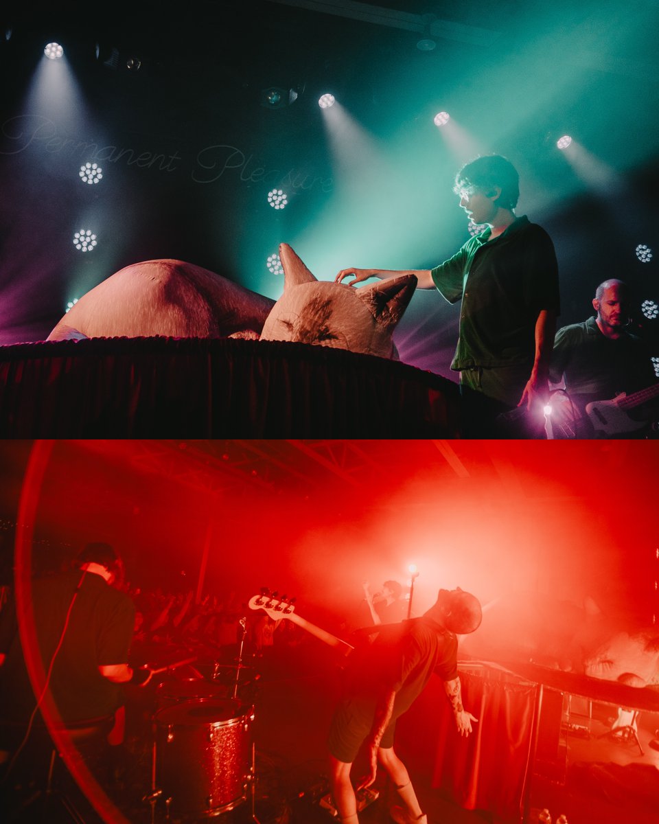 joywave's tweet image. Night 2. Sold out. What a way to end a very busy year for us. An album, a North American tour, and a UK/Europe tour as well. We really did it all, but it was #especially #special to close it out at home.