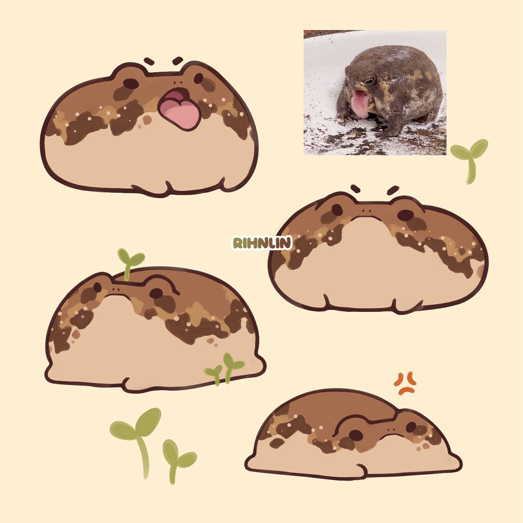 angry chocolate chip cookies 🍪