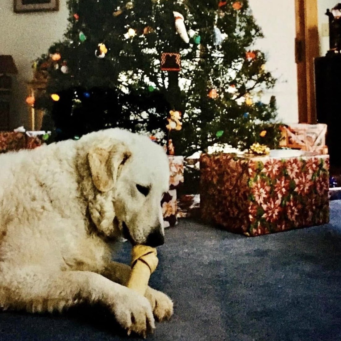 Bryan Marquard tweet media