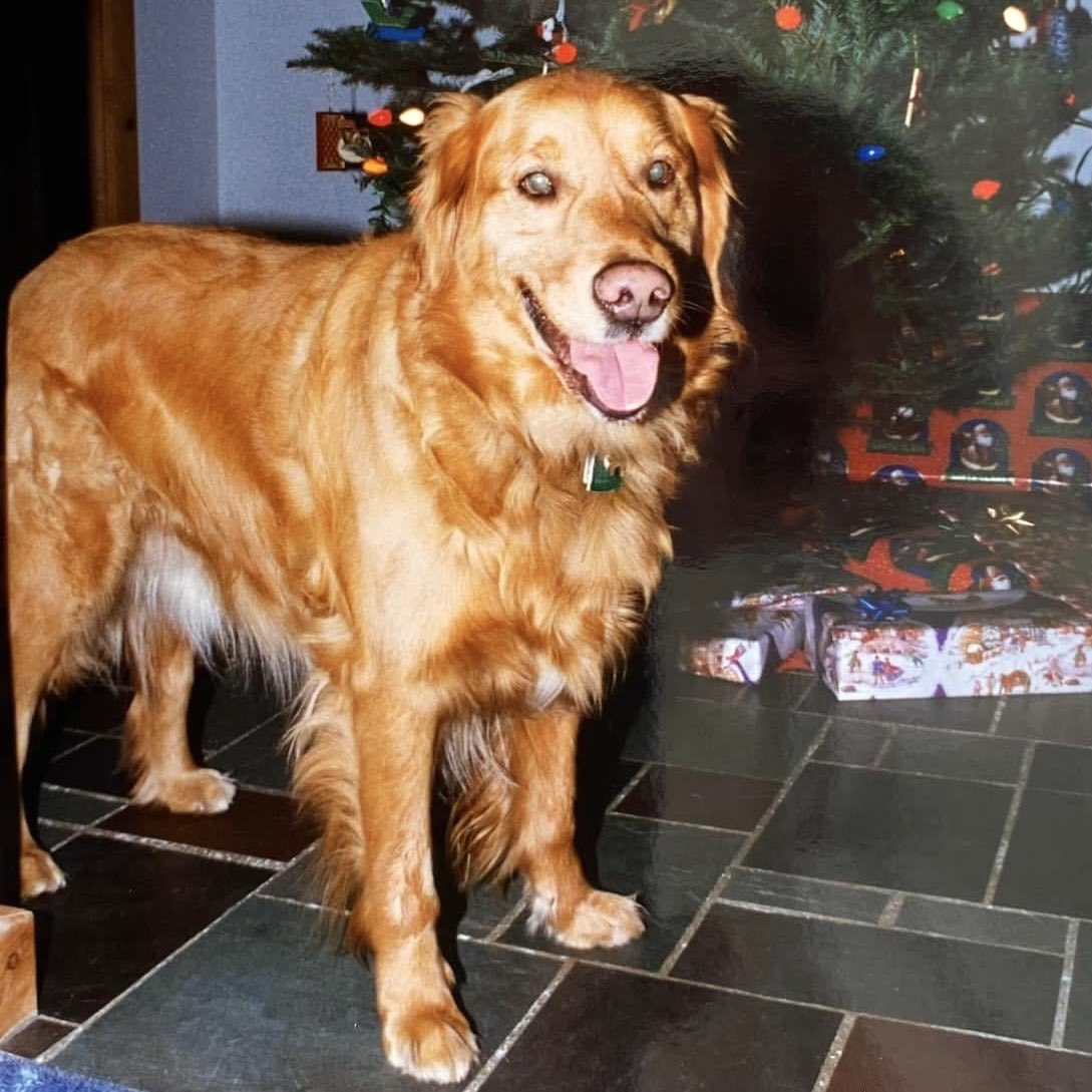 Bryan Marquard tweet media