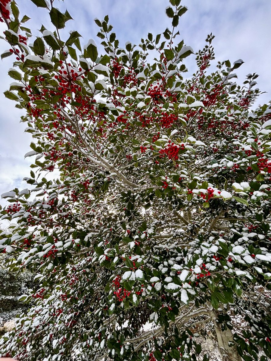 OBP Association tweet media