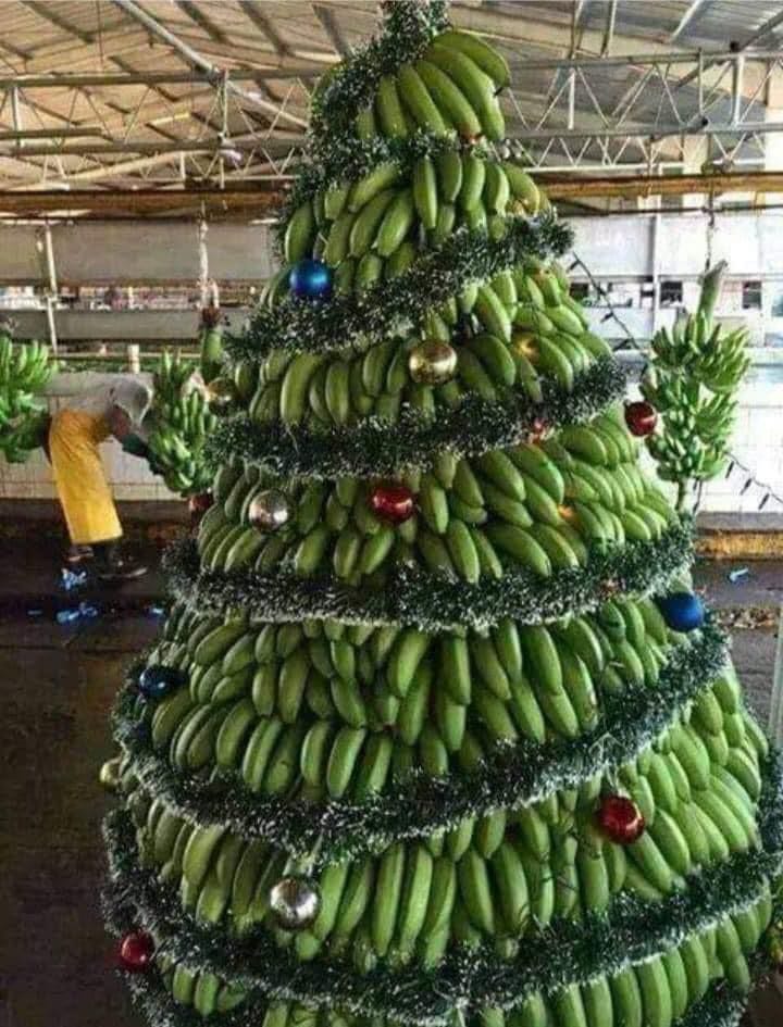 Jennifer Freedman tweet media