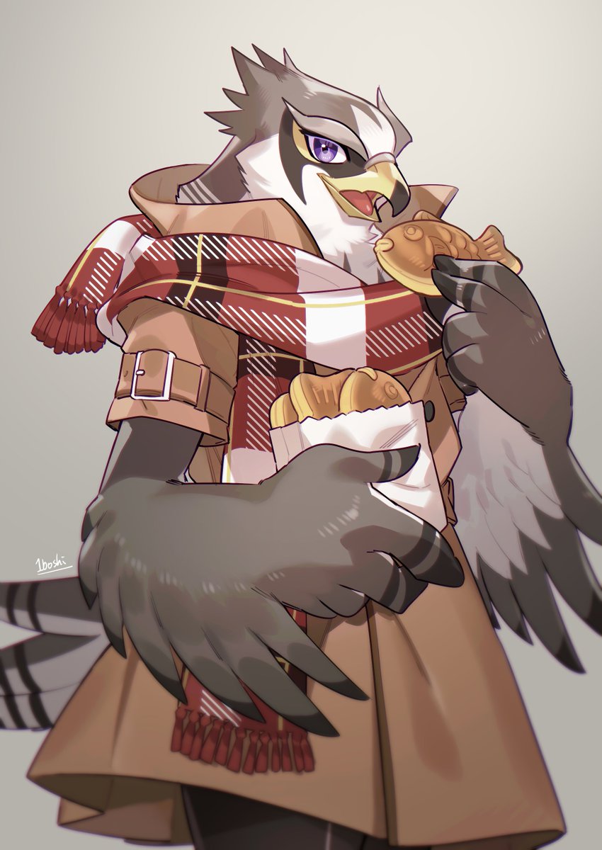 風隼 ししとう tweet media