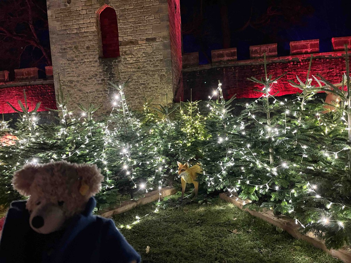 FlynnTheBear's tweet photo. I get the feeling that I'm being watched. #FlynnTheBear #BishopAuckland #BishopsPalace #Aglow https://t.co/1fLjcJJfYB