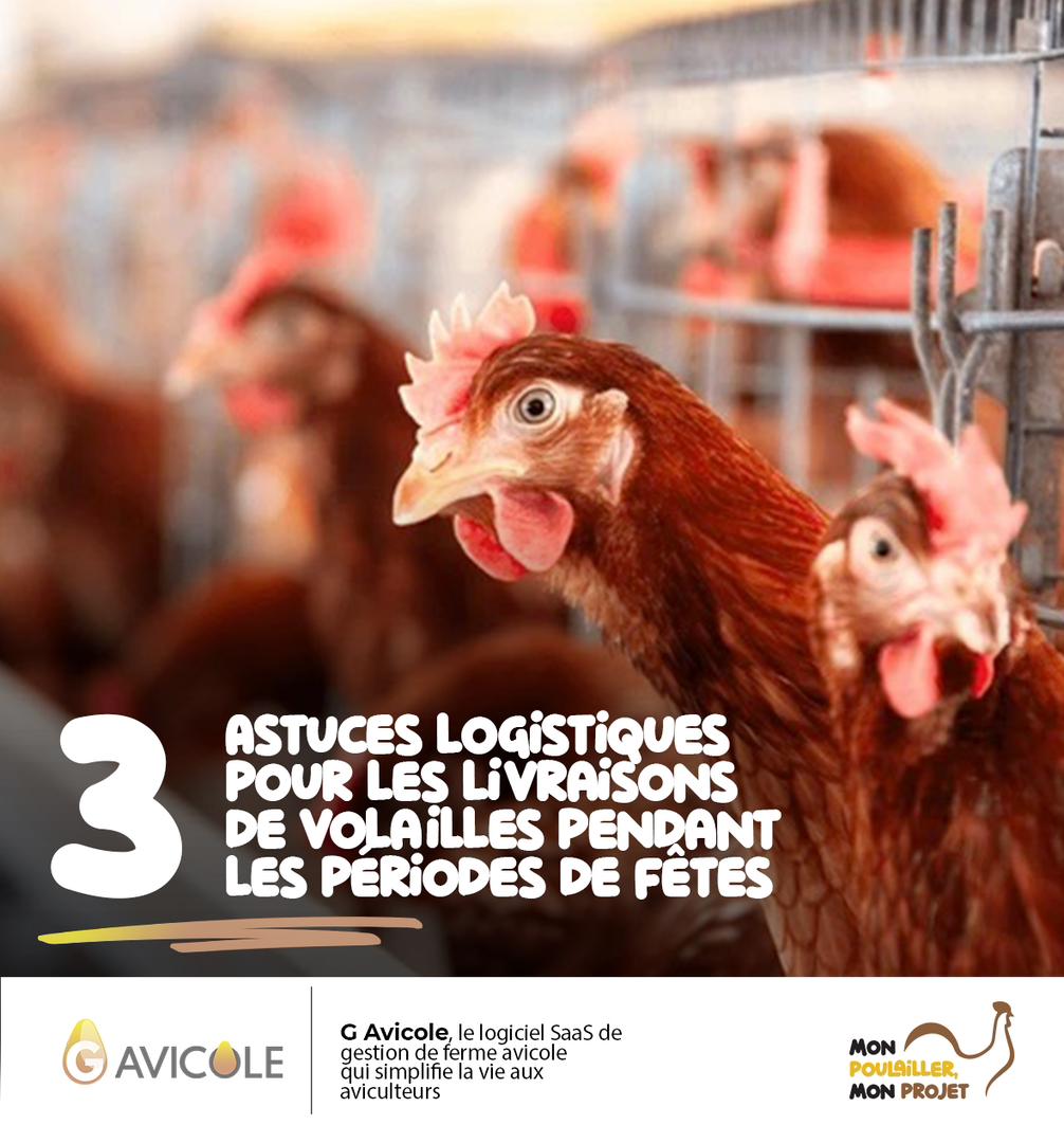 G Avicole tweet media