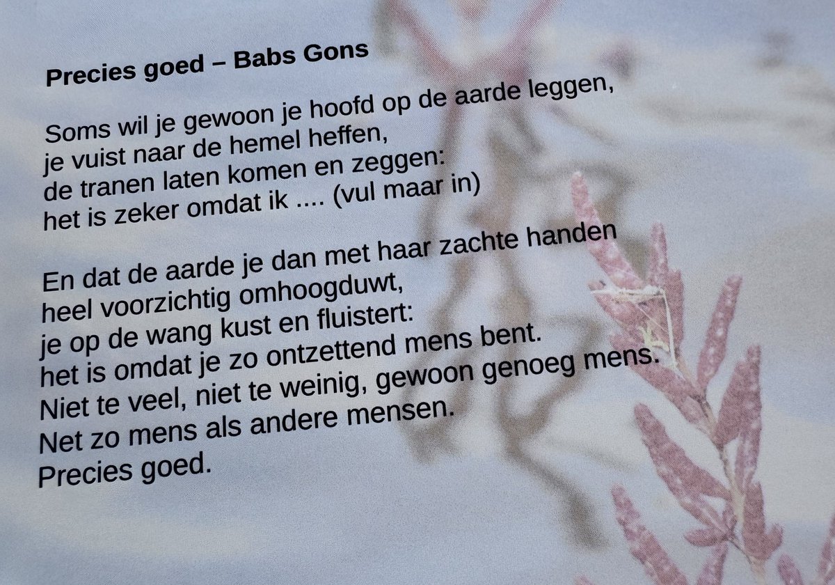 Hi tweethearts, alle goeds &amp; een stukje kerstkaart 😘

(....) En dat de aarde je dan met haar zachte handen
heel voorzichtig omhoogduwt,
en fluistert:
het is omdat je zo ontzettend mens bent.
Niet te veel, niet te weinig, gewoon genoeg mens.
Precies goed.
#Foto_Adventskalender